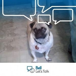 Meet your Posher, Diane